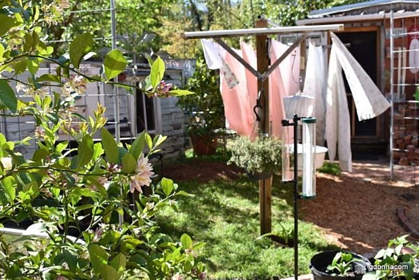 We must plant the seed for it to grow